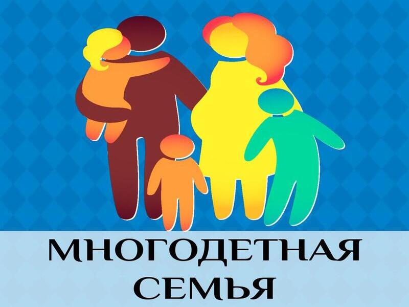 Помощь многодетным семьям.