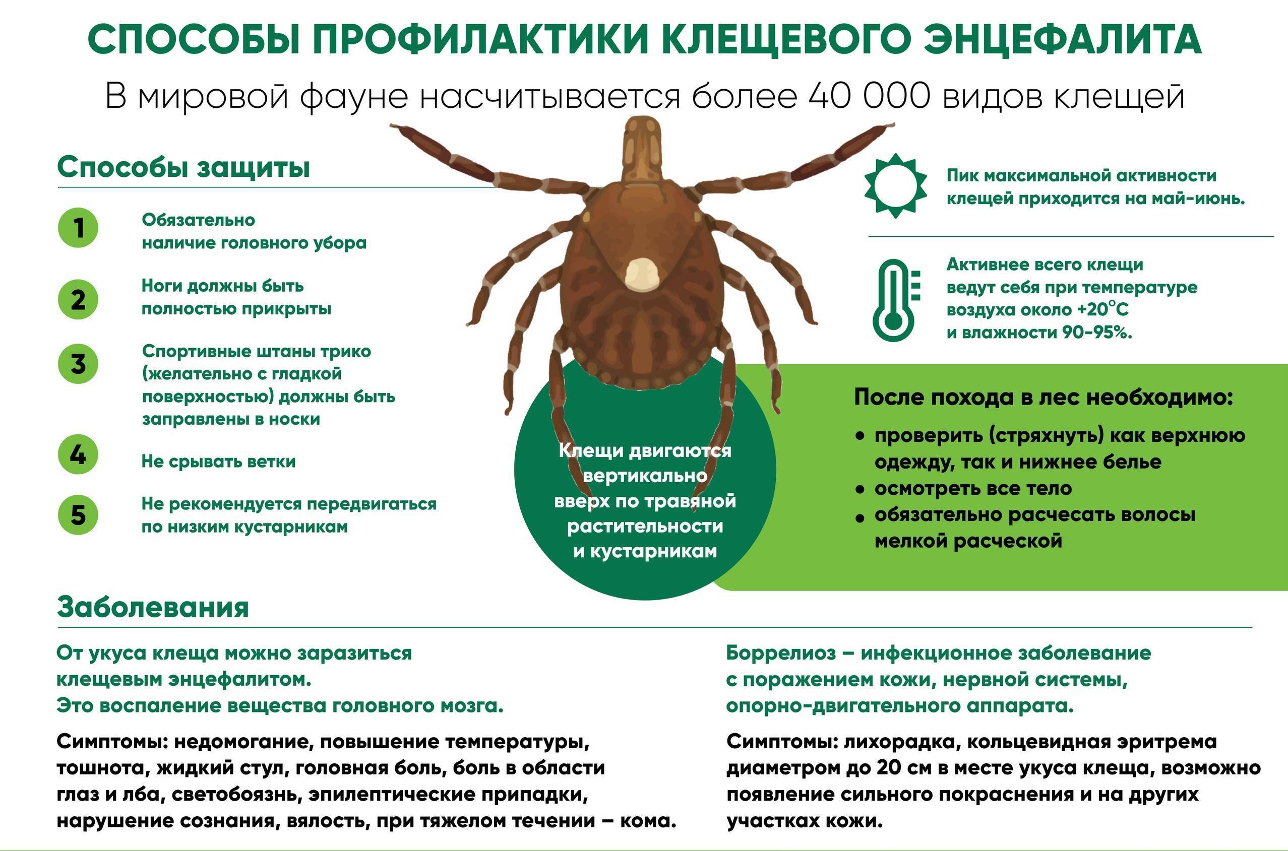 Способы профилактики клещевого энцефалита.