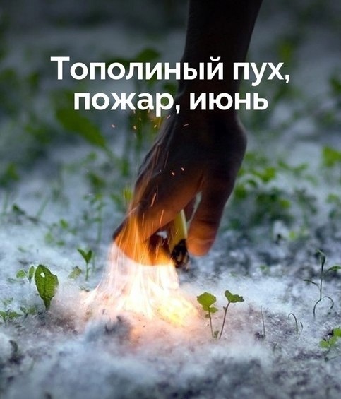 Не стоит поджигать тополиный пух.