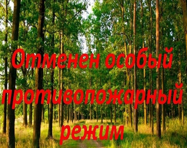 В 52 муниципальных образованиях края отменен особый противопожарный режим/.